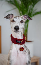 Cord Hundehalsband Merlot