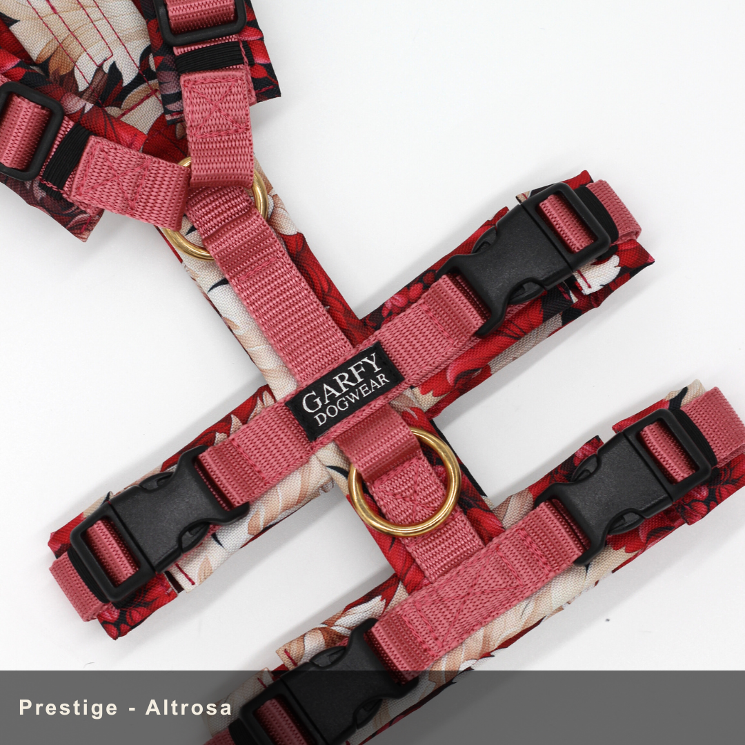 Safety harness