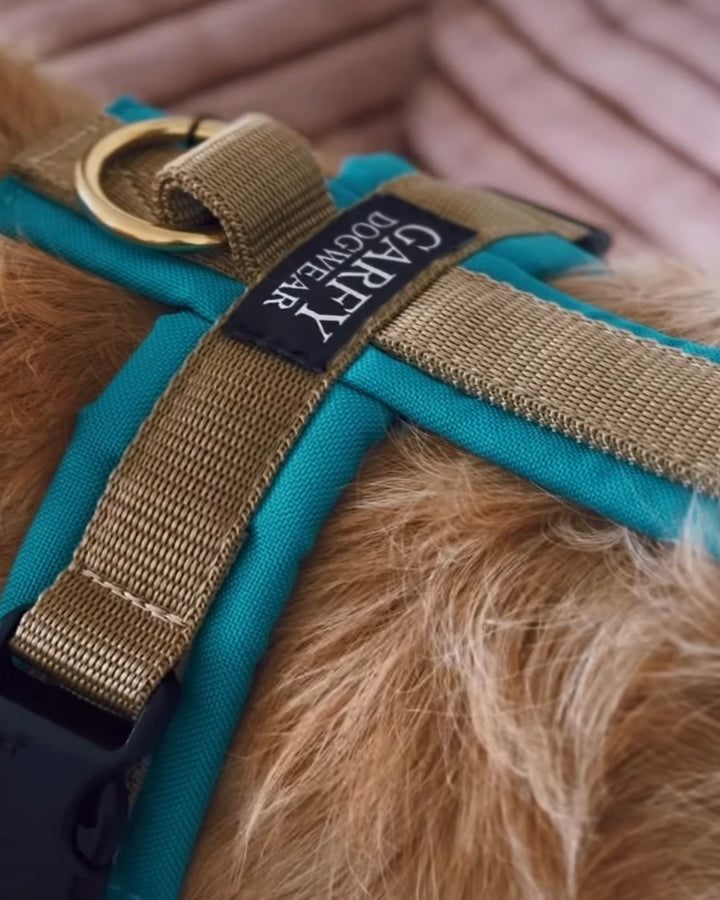 Hundegeschirr Aqua