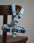 Vaisselle Pure Gris