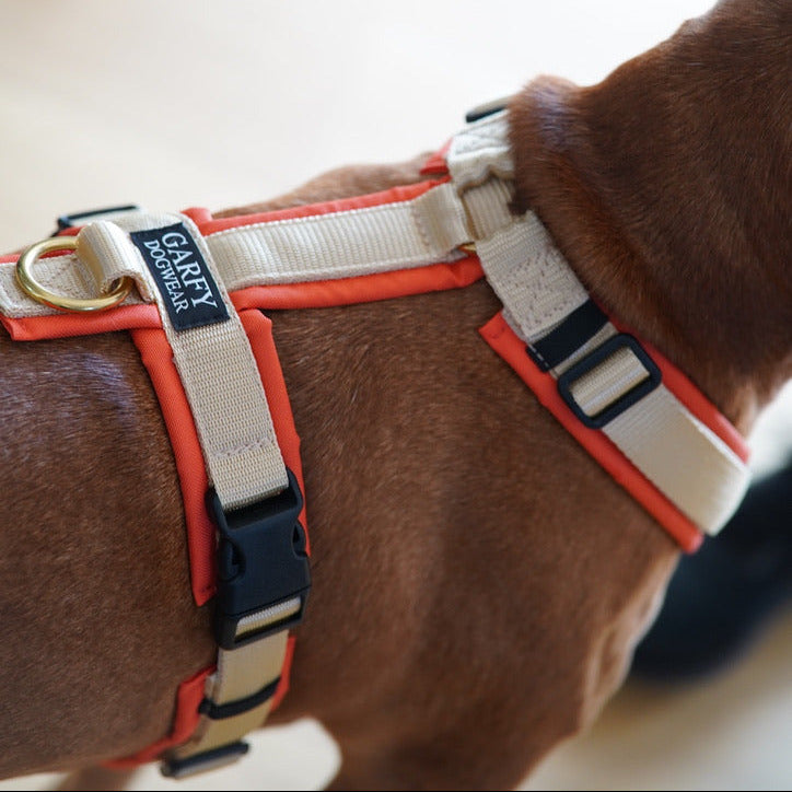 Hundegeschirr Taylor