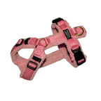 Teddy light Hundegeschirr Blush