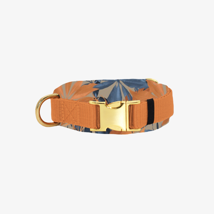 Clip collar