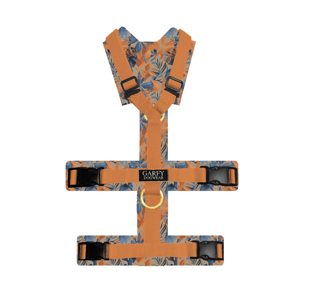 Safety harness