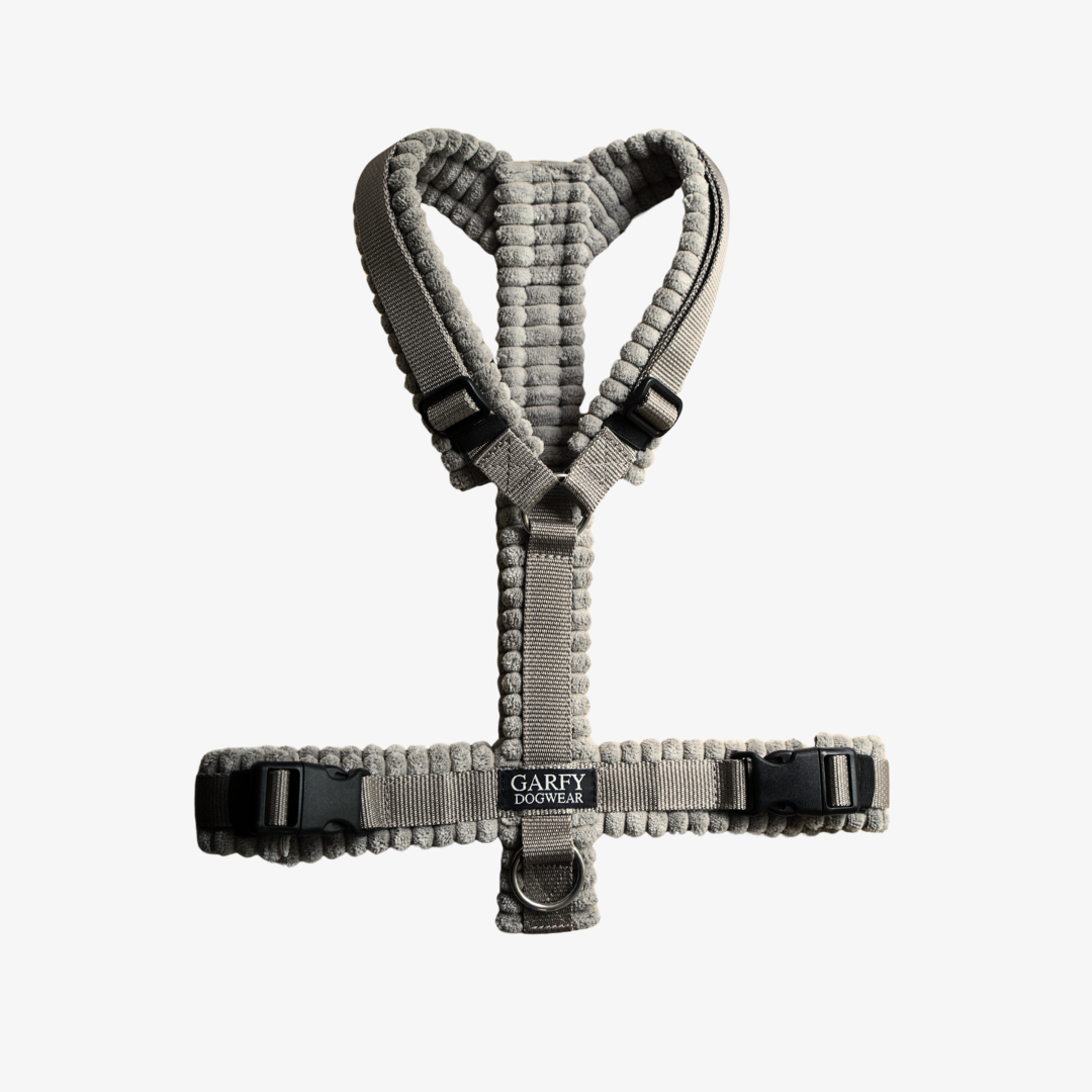 Cord Hundegeschirr Greige