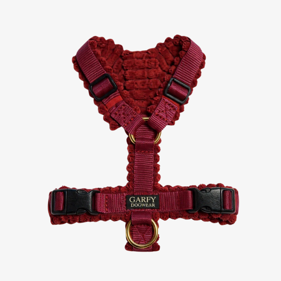 Cord Hundegeschirr Merlot