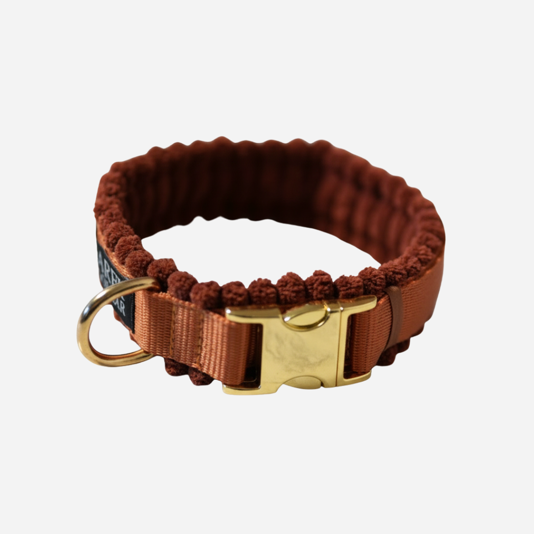 Cord Hundehalsband Cognac
