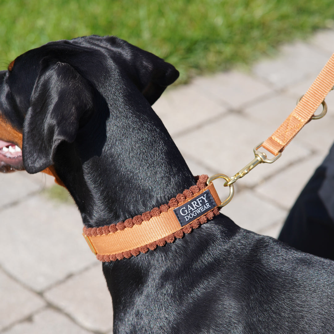Cord Hundehalsband Cognac