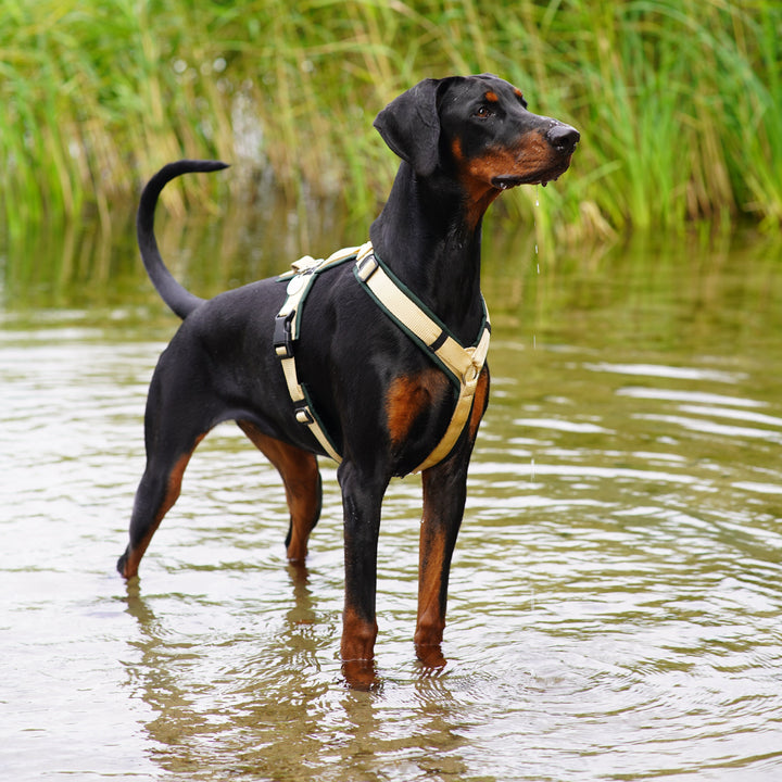 Hundegeschirr Hunting Green