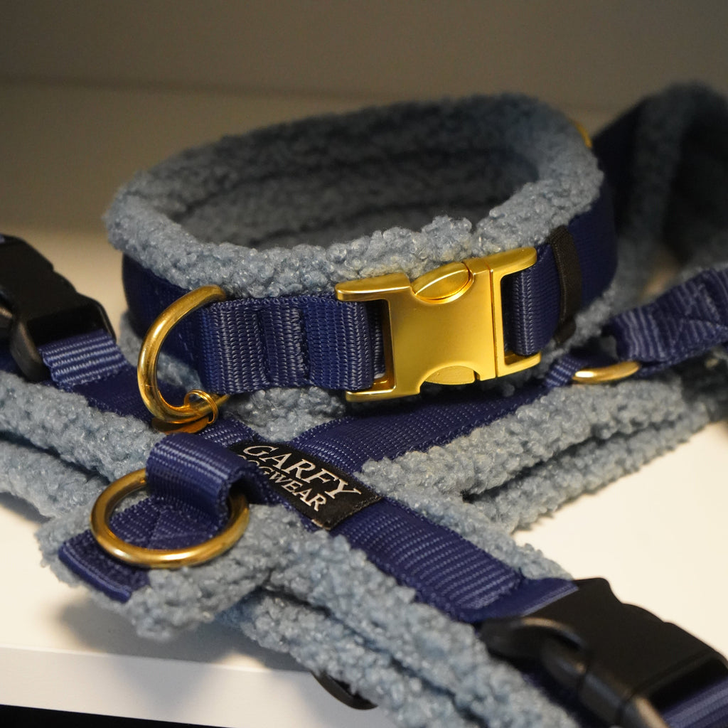 Teddy Hundegeschirr Blue