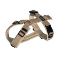 Hundegeschirr Beige