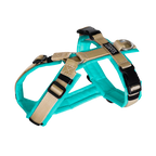 Hundegeschirr Aqua