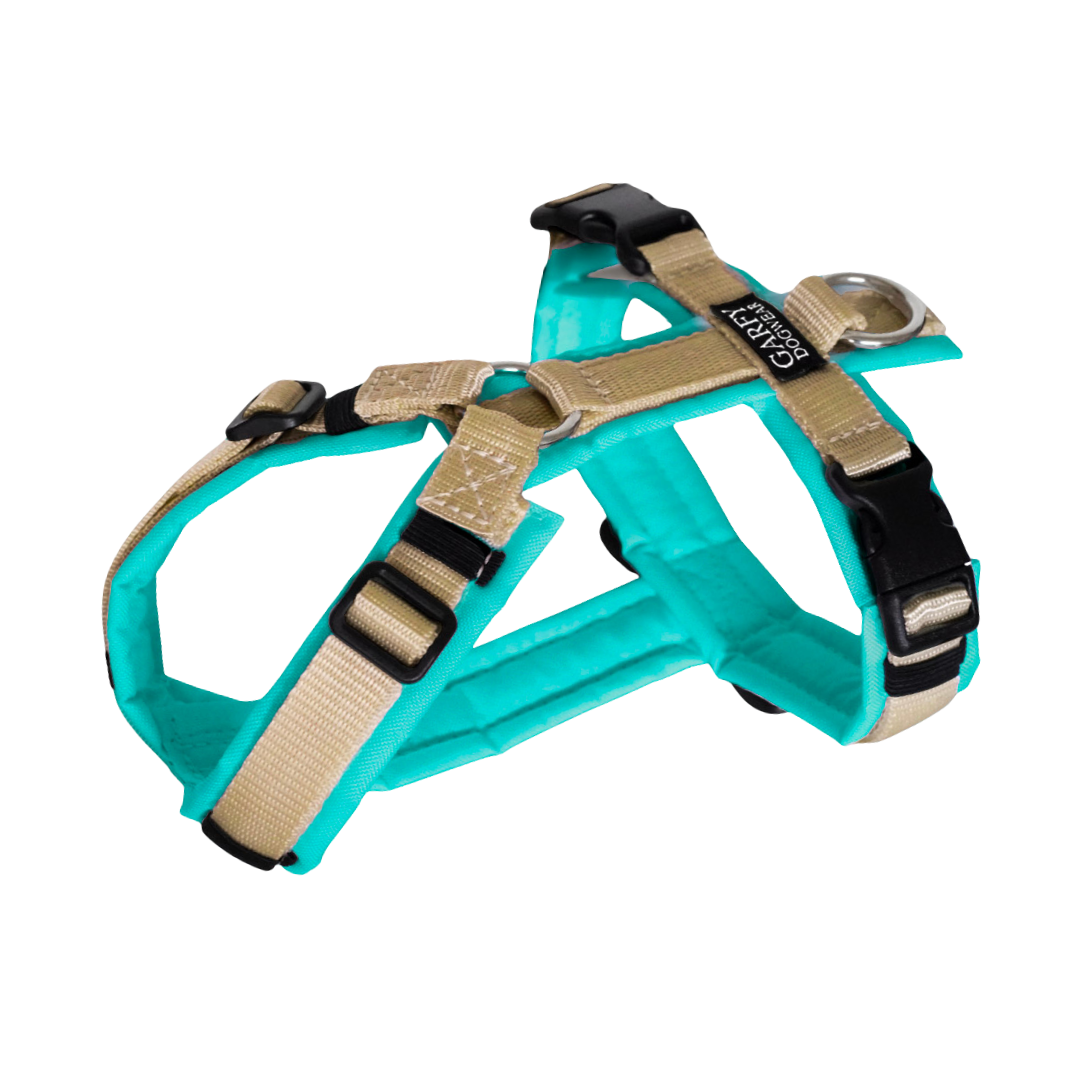 Hundegeschirr Aqua