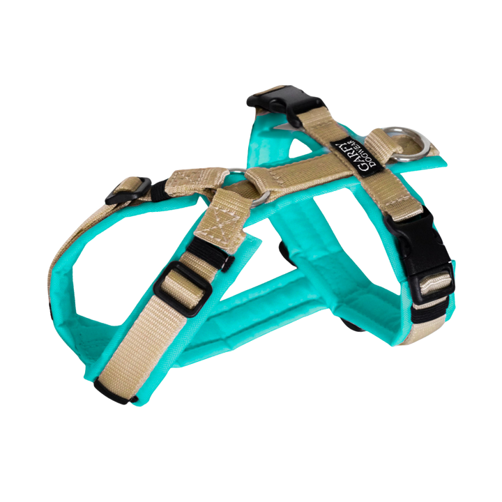 Hundegeschirr Aqua