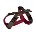 Hundegeschirr Cherrywood