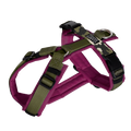 Hundegeschirr BERRY CAMO