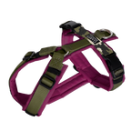 Hundegeschirr BERRY CAMO