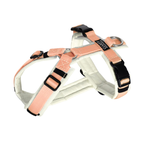 Hundegeschirr Soleil