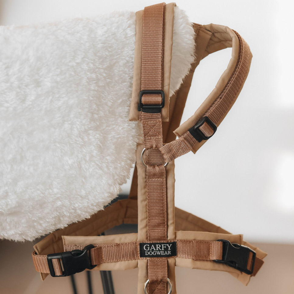 Harnais pour chien Archie's marron clair