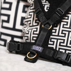 Teddy light Hundegeschirr Noir