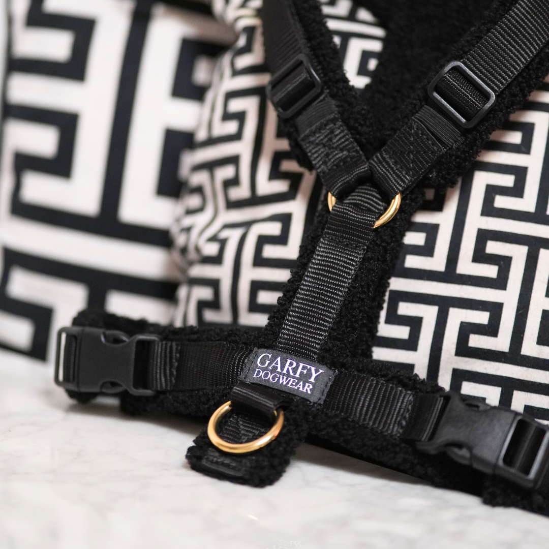 Teddy light Hundegeschirr Noir