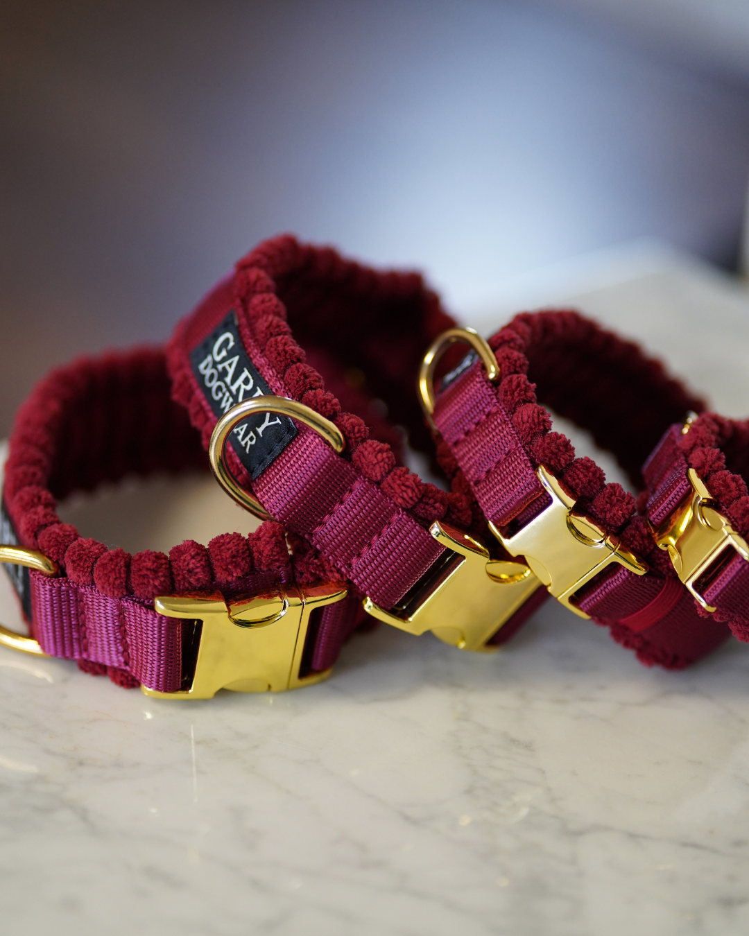 Cord Hundehalsband Merlot