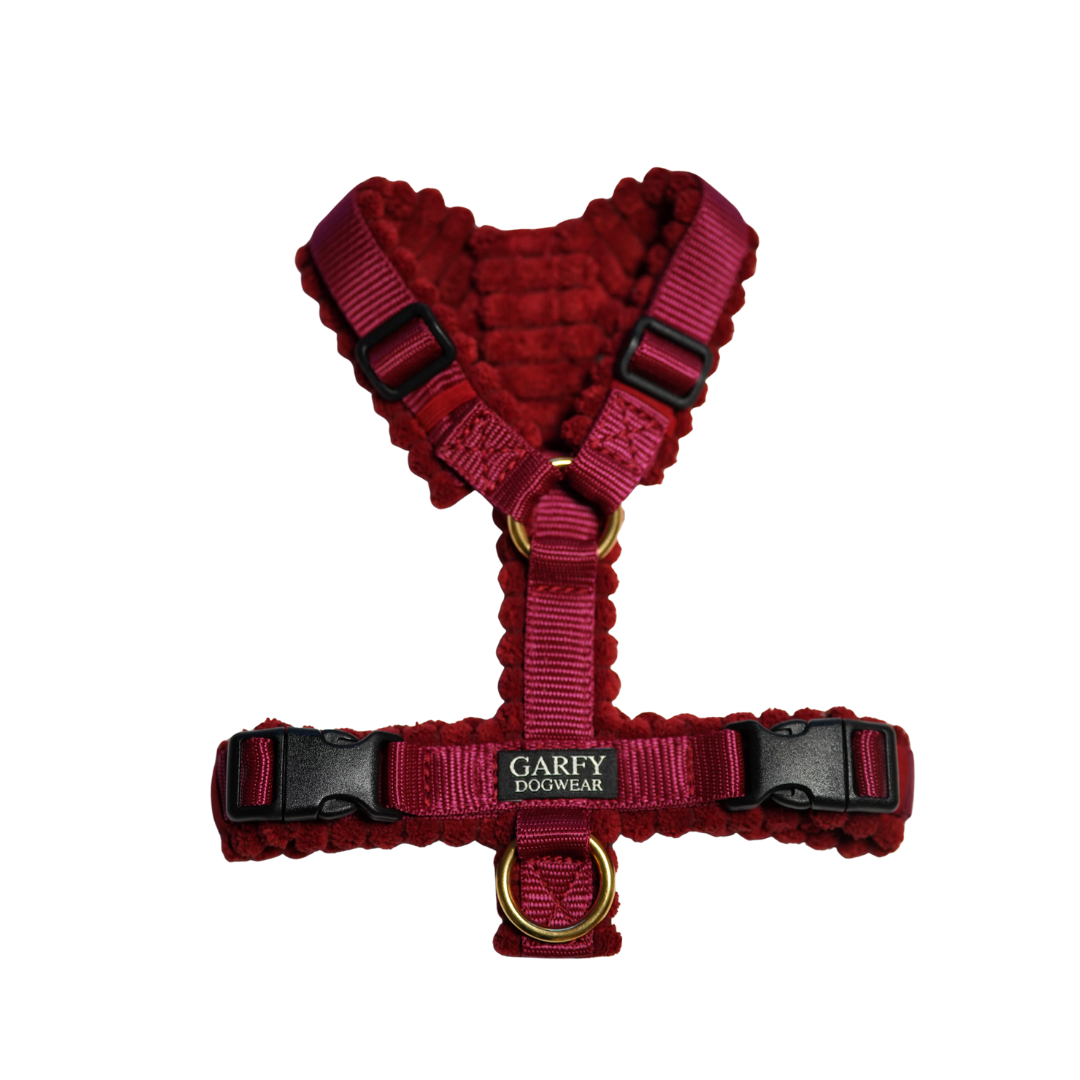 Cord Hundegeschirr Merlot
