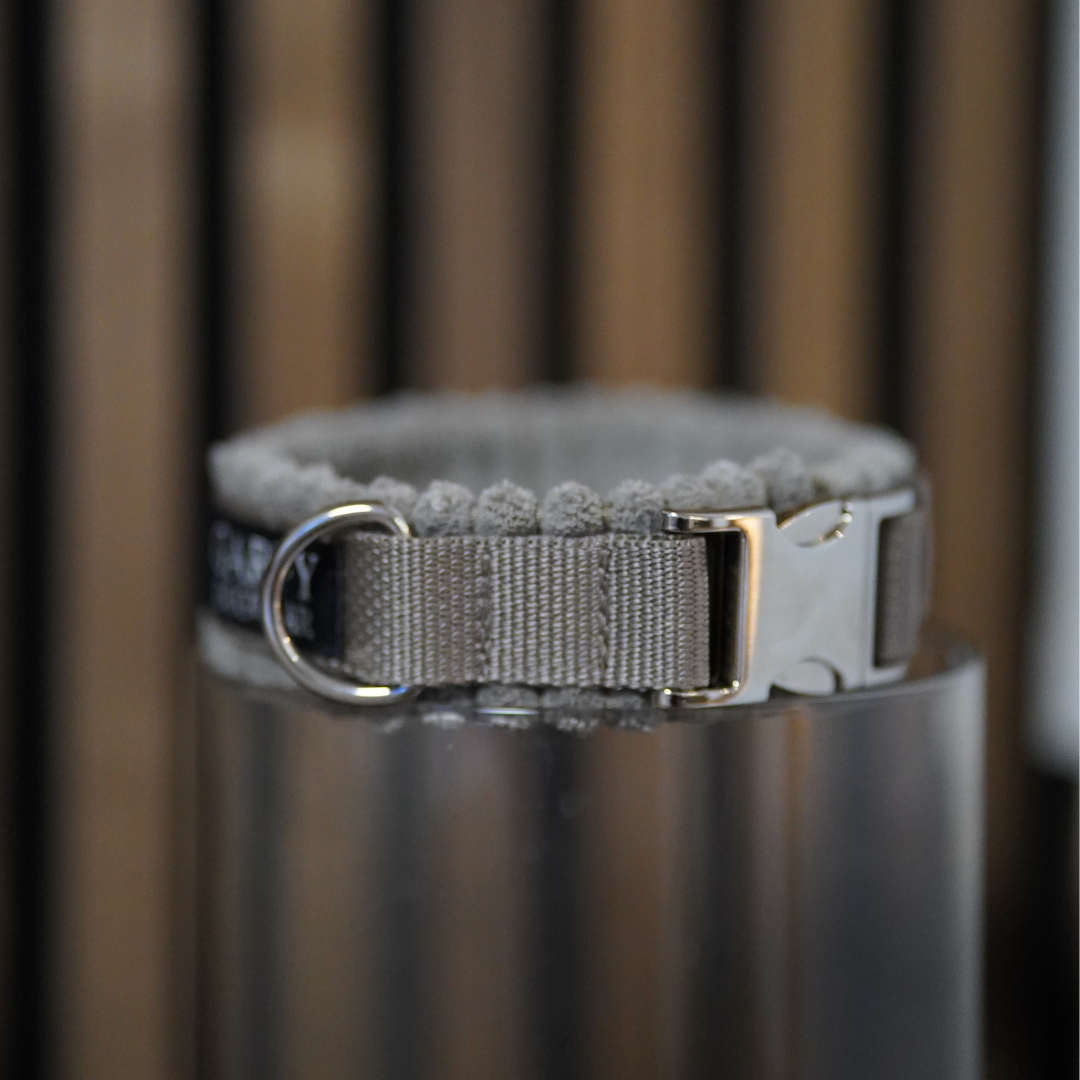 Cord Hundehalsband Greige