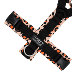 Pure Harness Orange Leo