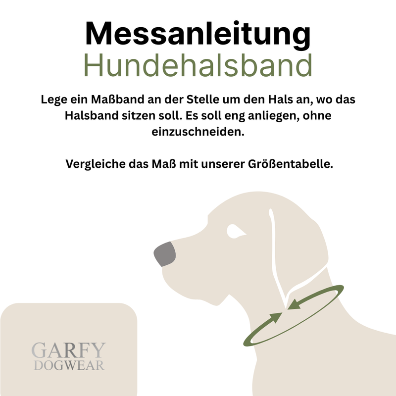 Halsband mit Steckschnalle