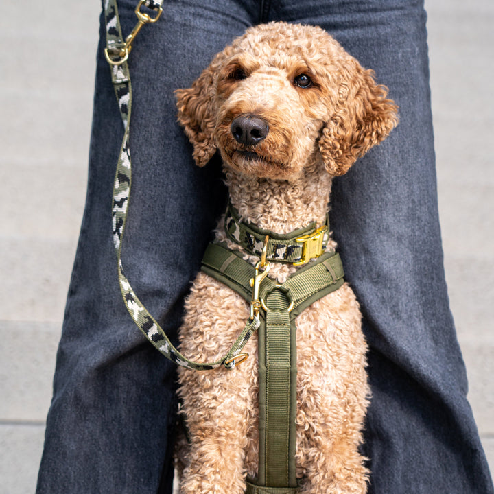 Hundegeschirr OLIVE CAMO