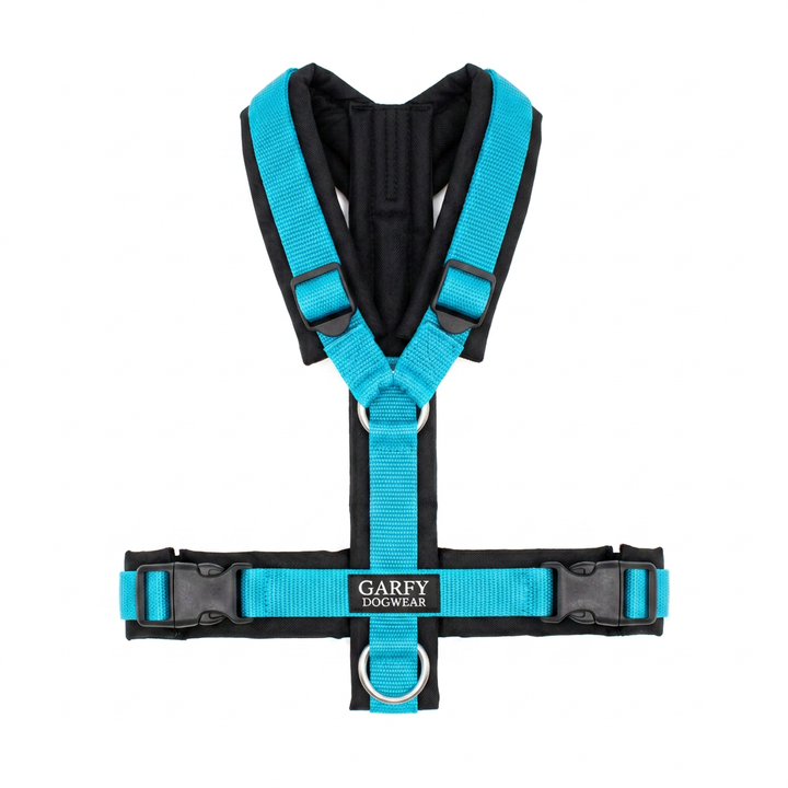 Pure Harness Sky