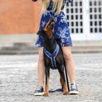 Dog harness Indigo