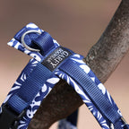 Dog harness Indigo