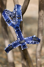Dog harness Indigo