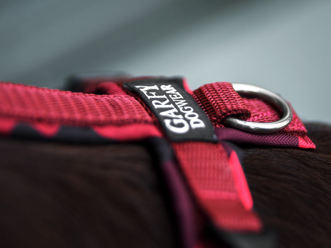 Archie's Light Brown Dog Harness