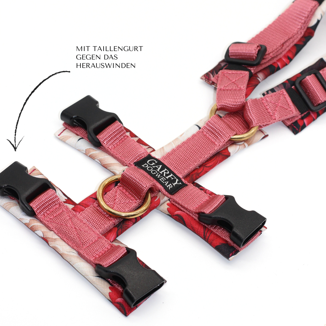 Safety harness