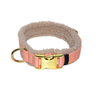 Teddy Light Halsband Soleil