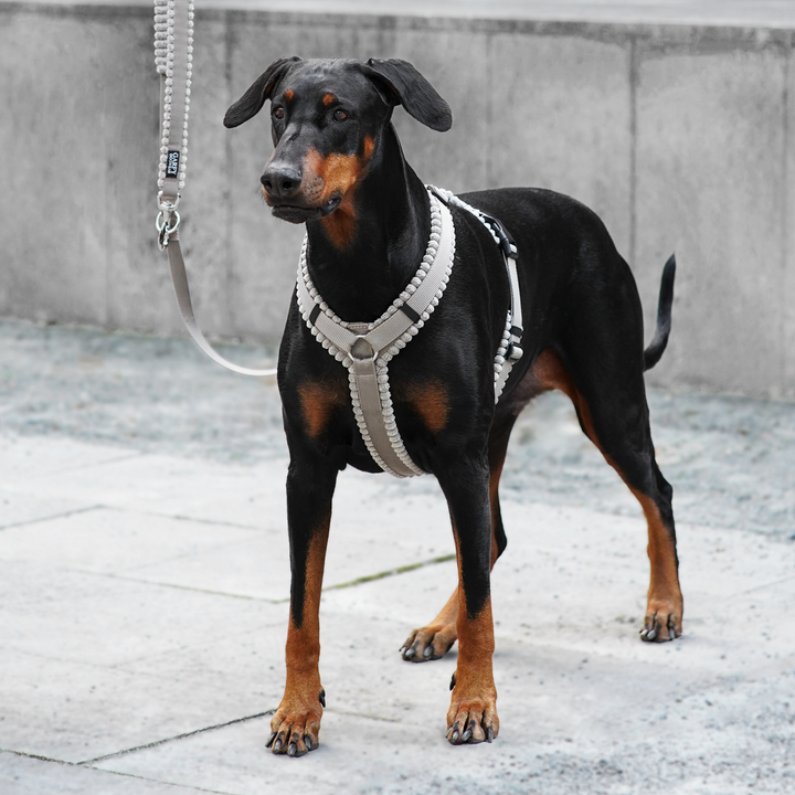 Cord Hundegeschirr Greige