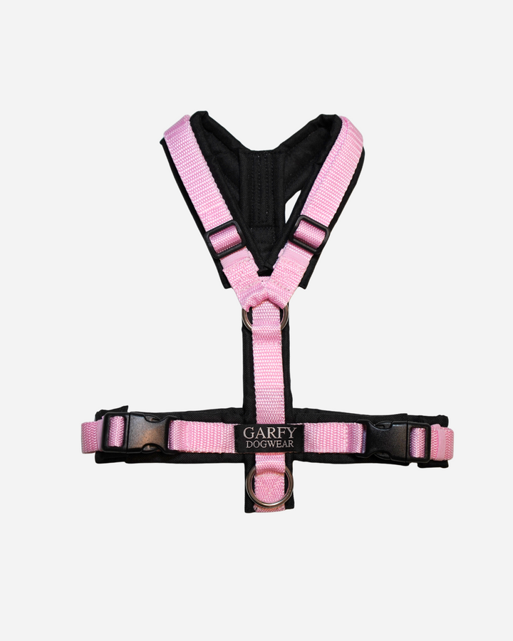 Pure Harness candy