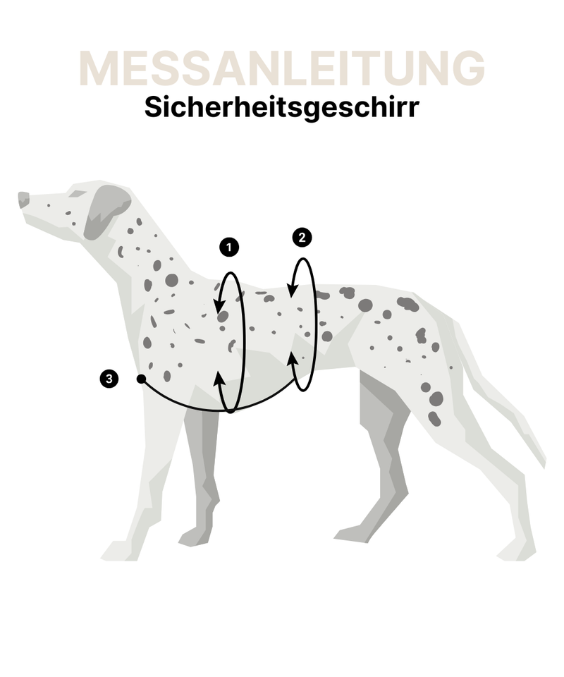Sicherheitsgeschirr