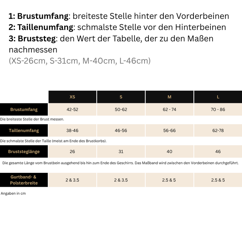 Sicherheitsgeschirr