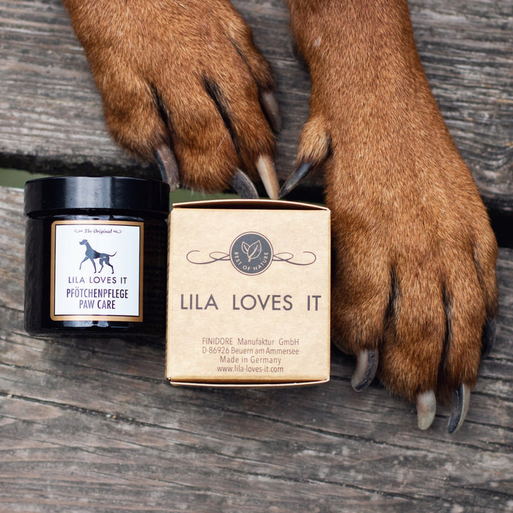 Paw care