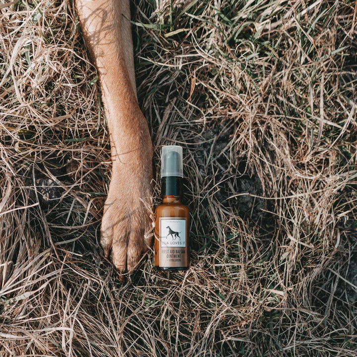 First Aid Balm